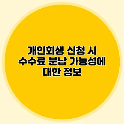 개인회생 신청 시 수수료 분납 가능성에 대한 정보
