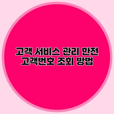 고객 서비스 관리 한전 고객번호 조회 방법