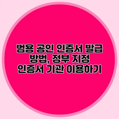 범용 공인 인증서 발급 방법, 정부 지정 인증서 기관 이용하기