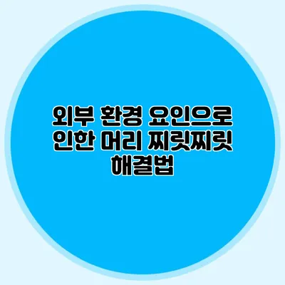 외부 환경 요인으로 인한 머리 찌릿찌릿 해결법
