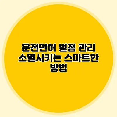 운전면허 벌점 관리 소멸시키는 스마트한 방법