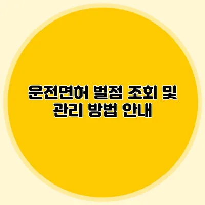 운전면허 벌점 조회 및 관리 방법 안내