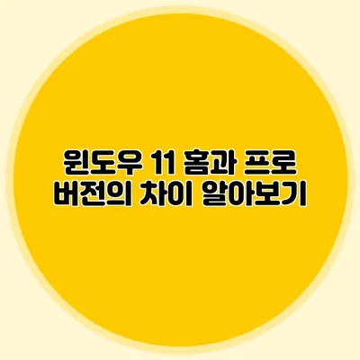 윈도우 11 홈과 프로 버전의 차이 알아보기