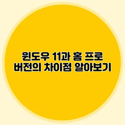 윈도우 11과 홈 프로 버전의 차이점 알아보기