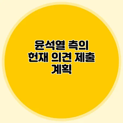 윤석열 측의 헌재 의견 제출 계획