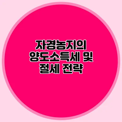 자경농지의 양도소득세 및 절세 전략
