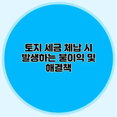 토지 세금 체납 시 발생하는 불이익 및 해결책