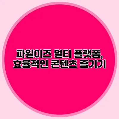 파일이즈 멀티 플랫폼, 효율적인 콘텐츠 즐기기