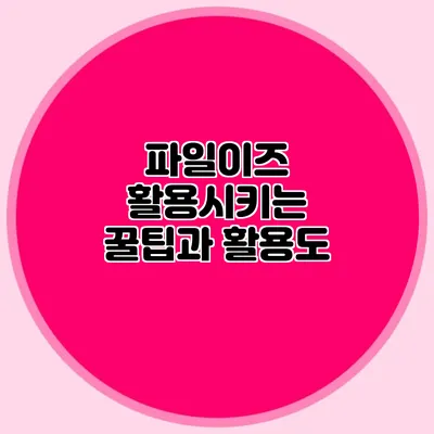 파일이즈 활용시키는 꿀팁과 활용도